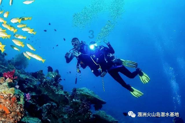 僵尸女友爱爬树